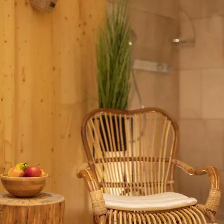 Privillage Stare - & Villa Bohinj