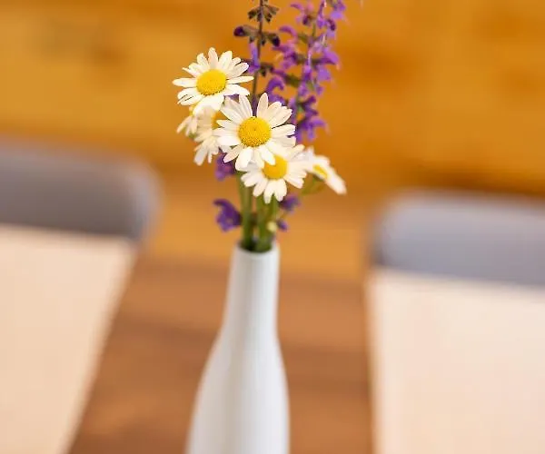 Villa Privillage Stare - Villa&chalet