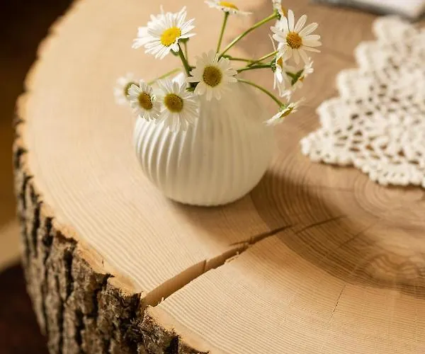 Villa Privillage Stare - Villa&chalet