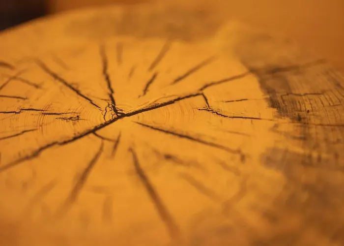 Villa Privillage Stare - Villa&chalet Bohinj